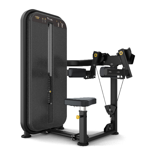 Vision Fitness Lateral Raise Selectorized Trainer