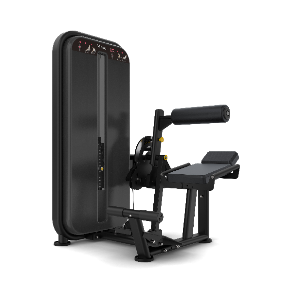 Vision Fitness Ab / Low Back Dual Selectorized Trainer
