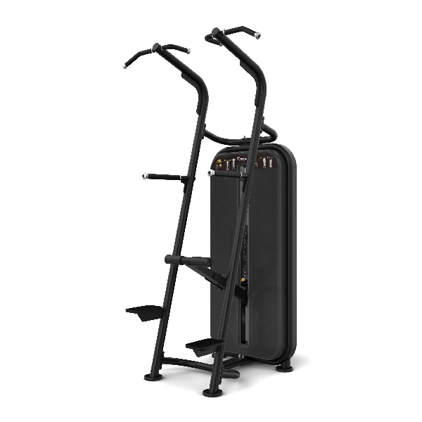 Vision Fitness Chin / Dip assist Dual Selectorized Trainer