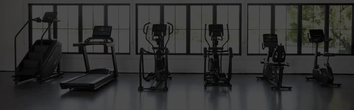 Vision Fitness commercial cardio machines lined up by large windows