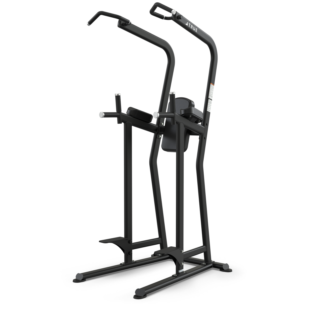 True Fitness FS23 Knee Raise/Dip/Chin Station – product view
