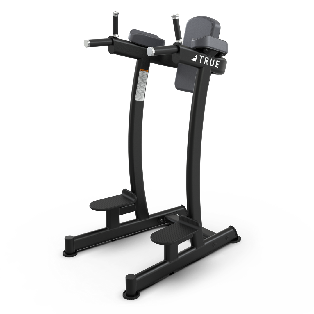 True Fitness XFW6400 Vertical Knee Raise/Dip – product view